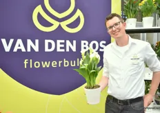 Daan Vermeer met de Royal Bounty van Van den Bos Flowerbulbs is een nieuw soort met grote zuiver witte bloemen. Het is een genetisch korter soort dat minimaal remstoffen nodig heeft.
